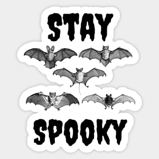 Stay Spooky Cute Bats Sticker